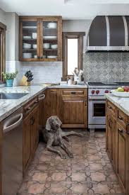 Maybe you would like to learn more about one of these? Altalena Collection Pattern Tiles Stoneimpressions Kitchen Backsplash Trends Modern Kitchen Backsplash Kitchen Remodel