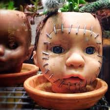 Tips for semi-hydroponic brassia orchid transfer?