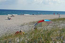 Beach concessions are provided by oceanside beach services locations. Bark Beach Dog Permits Patch Reef Park