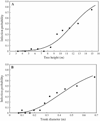 Image result for Phragmanthera dschallensis
