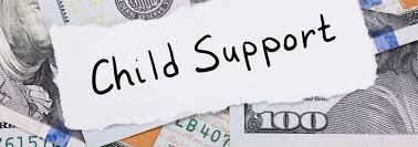 Enter the relationship to the child for whom support is sought (mother, father or alleged father) below the name of the parent. Georgia Child Support Laws In 2020 How Calculated Enforcement