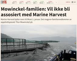 Bitcoin har rast etter teslas retrett: We Think It S Completely Wrong That The Mowi Name Will Be Associated With The Kind Of Farming That Marine Harvest Operates Green Around The Gills
