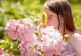 Preschool & Daycare in Jersey City, NJ