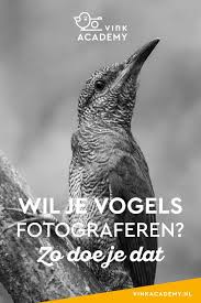 Pin Op Reisfotografie En Tips Voor Mooie Vakantiefoto S