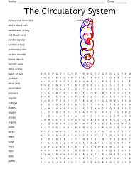 Image result for Cardiovascular Worksheets