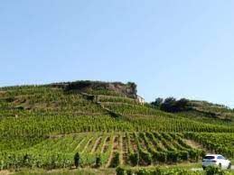 Les dentelles de montmirail rustrel : Belvederes Et Vignobles De Tain L Hermitage Randonnee Pedestre Trace Gps Drome