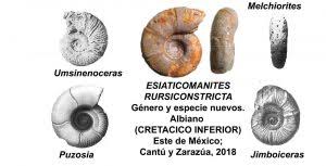 Descubre IPN fósil único en el mundo de la era cretácica