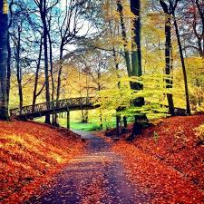 Goldener November Im Jenischpark Typisch Hamburch Landschaftsbilder Hamburg Jenischpark