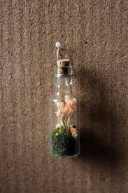 Mini Bottle Terrarium Beautiful Terrariums Mini Terrarium Mini Glass Bottles