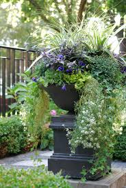 Pin By Alicia Breining On Outdoor Gardens Outdoor Garden Planters Container Plants Urban Garden