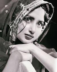 Sajal Ahad Mir (@sajalaly) • Instagram photos and videos