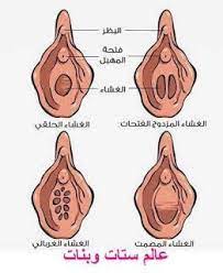 غشاء البكارة posts facebook