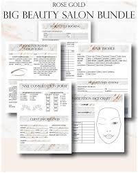 rose gold big beauty salon bundle in 2019 makeup artist