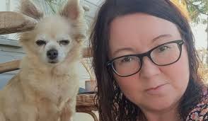 Elgen kom galopperende gjennom hagen