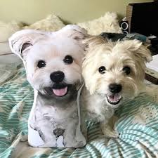 Organic Saguaro Tea Towel, Southwestern Decor, Western, Desert Decor  Kitchen, Hand Towel Cotton