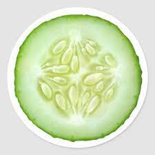 Cucumber Slice Classic Round Sticker Zazzle Com In 2020 Cucumber Healthy Vegetarian Diet Fresh