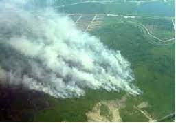 3,853 likes · 1 talking about this. Alam Ulama 1 Multiversiti