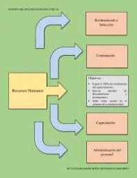 Capital humano, capital intelectual y nuevas tecnologías de la informaciòn y las comunicaciones. Mapa Conceptual De Gestion Del Recurso Humano Docsity