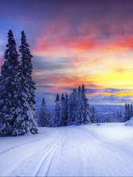 If you're looking for the best winter wallpaper hd then wallpapertag is the place to be. Norway Old Mobile Cell Phone Smartphone Wallpapers Hd Desktop Backgrounds 240x320 Images And Pictures