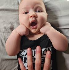 Lost and Found Pets of Milton and Pace, FL