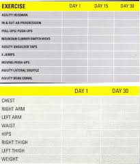 insanity fit test pdf fitness and workout