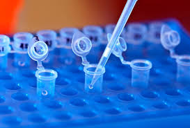 We did not find results for: Pedcrin Home Facebook