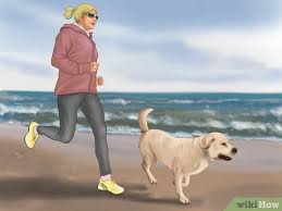 Learn how to potty train a puppy in 6 days for free. How To Get Your Dog To Sleep 8 Steps With Pictures Wikihow