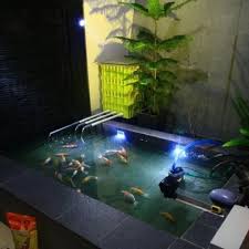 Demikian sedikit pembahasan mengenai 8 cara merawat ikan koi di kolam untuk pemula dan tipsnya! Jual Baru Trickle Filter Kolam Ikan Koi 4 Susun Kecil Jakarta Pusat Pusat Stasionari Tokopedia