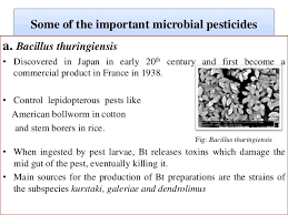 Animals, plants these biopesticides provides protection against pest and soil borne diseases. Biopesticides