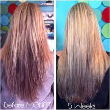 They may become thin, break easily. If You Struggle With Dry Damaged Brittle Thinning Hair Lets Talk Monat Can Be Your Answer To All Your Hair Problems Monat Hair Hair Long Hair Styles