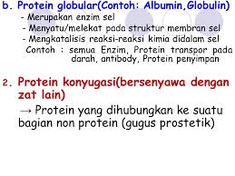 2 unsur yang paling lazim (96%) adalah karbon, hidrogen, oksigen dan nitrogen. Komposisi Kimiawi Sel Dan Sistem Koloid Ppt Download