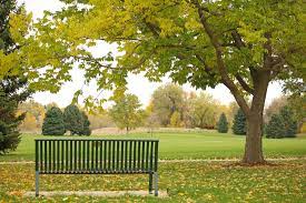 Explore parks is the first stop in planning your visit to western australian national parks and reserves. Denver Parks And Recreation Photos Facebook