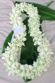 It's also fun for the graduate to show off their leis to others. Fresh Orchid Leis Hand Made In Hawaii With Dendrobium Orchids
