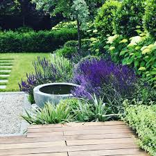 Hampstead Garden Design Na Instagramie Looking Forward To Our Garden Open For The National Garden Scheme On In 2020 Garden Design Front Yard Design Courtyard Plants