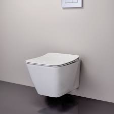 Fusaro Wall Mounted Wc Pan Wall Mount Wall Mounting