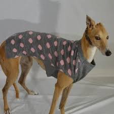 They are clean, shed very little and seldom bark. Biddingowl Greyhound Pets Of America Houston Auction