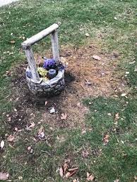 Ask A Question Forum Home Heating Oil Spilled On My Lawn Grass Garden Org