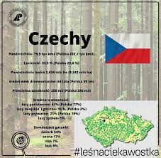 Każdego roku czechy są odwiedzane przez około 300 tysięcy polaków. Graphsandmaps Las Drzewa Czechy Ciekawostki Lifelike Wykop Pl