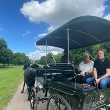 WINDSOR CARRIAGES (w/ Reviews) All You ...