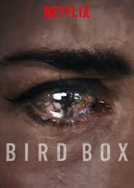 Check Out Bird Box On Netflix Bird Boxes Netflix Bird