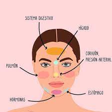 Mapeo Del Rostro Esto Es Lo Que Los Granitos Estan Tratando De Decirte Dependiendo Del Lugar Donde Aparecen