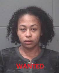 Sonia Curbelo's Instagram, Twitter & Facebook