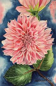 Pink Dahlia 1 Art Print By Pushpa Sharma In 2021 Flower Painting Flower Drawing Watercolor Flowers