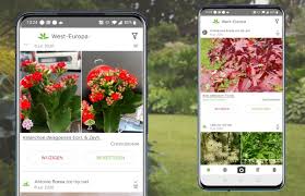 Echt, ik zou niet meer zonder de app plantsome. De Beste Planten App Voor Mensen Zonder Groene Vingers 4 Fijne Opties
