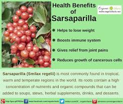 Image result for Dr Sebi Sarsaparilla