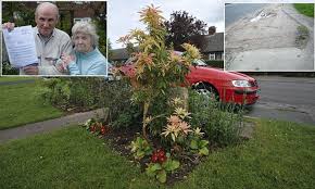 See more ideas about garden design, native garden, australian native garden. Cheshire Couple Who Planted Flowers On Verge Face Criminal Damage Charge Daily Mail Online