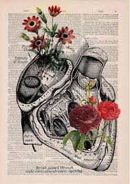 Note that you will still see this person's artwork on the public community gallery. Wall Art Print Flower Heart Print Nature Anatomy Anatomy Etsy Human Anatomy Art Art Art Prints
