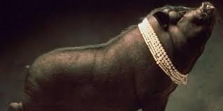 Pilih dari sumber gambar hd babi png dan unduh dalam bentuk png. Babi Ngepet Javanese Myth A Pig Monster That Is The Manifestation Of A Person Practicing Black Magic And Wanting To Become Wealth Gambar Kartun Kartun Gambar