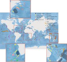 (sport fishing) open sea (part of the sea out of sight of land). Ecological Variables For Developing A Global Deep Ocean Monitoring And Conservation Strategy Nature Ecology Evolution