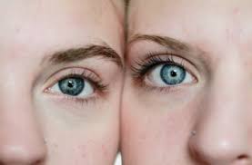 We did not find results for: Mengapa Warna Mata Manusia Berbeda Beda Ini Penjelasannya Himedik Com